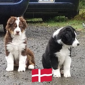 Meet your Posher, Jean